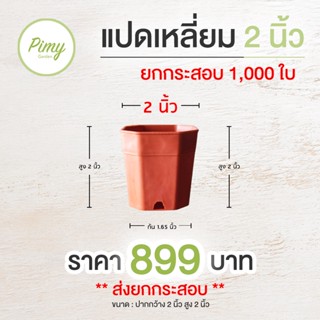 กระสอบ 1,000 ใบ กระถางแปดเหลี่ยม 2 นิ้ว สีอิฐ ส่งตรงจากโรงงาน