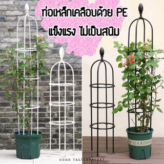 ~พร้อมส่งในไทย~โครงไม้เลื้อย[รุ่นจุกบัว ]~โครงกุหลาบพรีเมียม