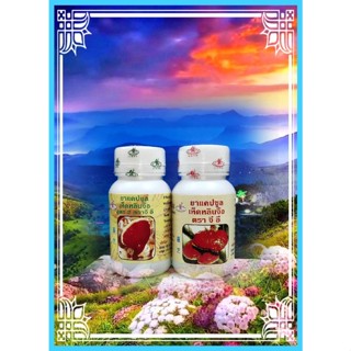 Ganoderma Excellium ชุดใหญ่