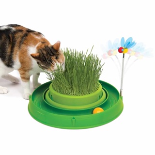 Catit ของเล่น Circuit Ball Toy with Cat Grass พร้อมตัวผื้งเด้ง พิเศษ เมล็ดปลูกและพร้อมดิน 1 ชุด ฟรี