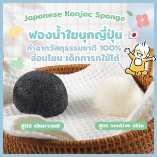 (พร้อมส่ง) Japanese Konjac Sponge ฟองน้ำล้างหน้า ใยบุกล้างหน้า อ่อนโยน เด็กทารกใช้ได้ ทำจากธรรมชาติ 100% ย่อยสลายเองได้