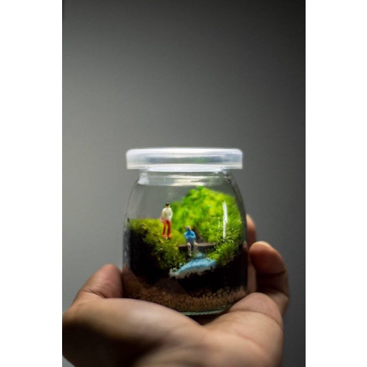 สวนขวดแก้ว(Terrarium)ขนาดเล็กมินิมอล ราคา ถูกที่สุด ดีลบีเคเค แกลเลอรีภาพที่ 5