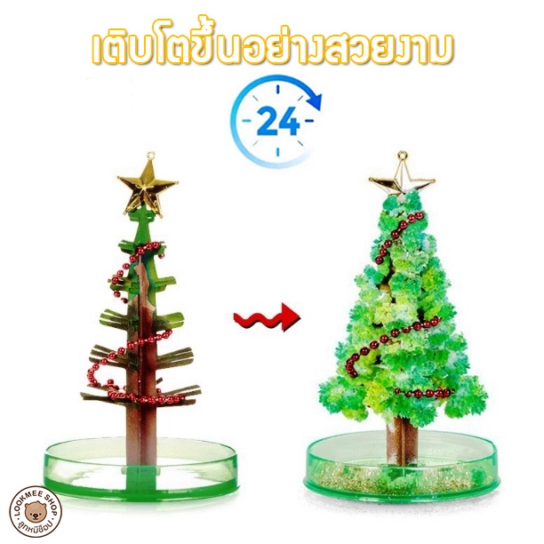 ต้นไม้มหัศจรรย์ Magic growing ต้นคริสต์มาสวิเศษ ของเล่นDIY ปลอดภัยไม่อันตราย มีหลายแบบให้เลือก เติบโตใน 24ชั่วโมง