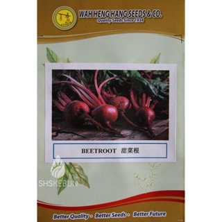 ผลิตภัณฑ์ใหม่ เมล็ดพันธุ์ จุดประเทศไทย ❤Benih Ubi Bit Merah 红菜头 Beetroot Seed Non-GMO SHS Kebunเมล็ดอวบอ้วน 100%/ผักชี L