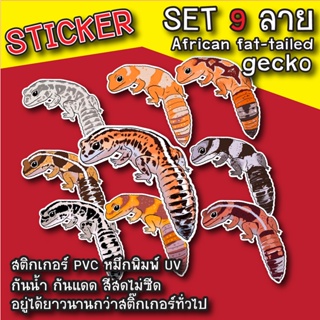 สติ๊กเกอร์ สติกเกอร์ (Set 9 ลาย) ตุ๊กแกหางอ้วน African fat-tailed gecko Sticker PVC กันน้ำ สีไม่ซีด สติกเกอร์