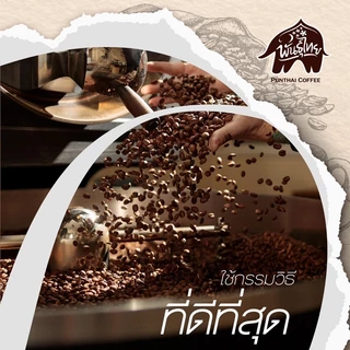 Punthai เมล็ดกาแฟคั่วเข้ม arabica100% ขนาด 200 กรัม 400 กรัม 250 กรัม 500 กรัม**พร้อมส่ง ** ล๊อตใหม่ **บดแล้วไม่รับคืน**