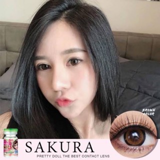 คอนแทคเลนส์ รุ่น Sakura ยี่ห้อ Pretty doll ตาโต สีตาล มีค่าสายตา