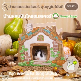 Homey Hamster บ้านหลบบันไดแฮมสเตอร์ ของแต่งกรงหนูแฮมสเตอร์ สะพานดัดแฮมสเตอร์ กรงอะคริลิค กล่องขุด millamore ทรายบัดดี้