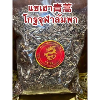 แชเฮา青蒿 โกฐจุฬาลัมพา ชิงเฮา แชเฮา สมุนไพรโกฏจุฬารำพา โกฐจุฬารำพา