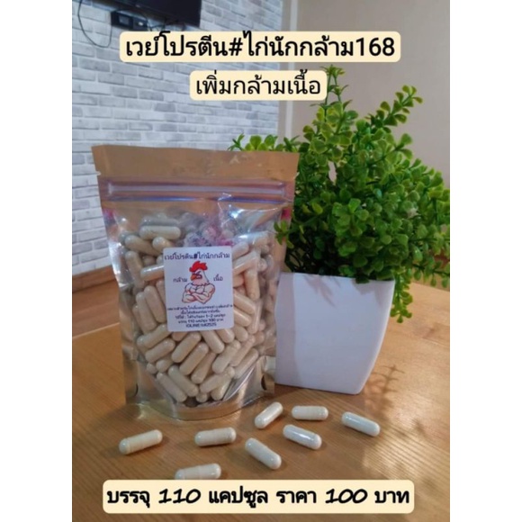 เวย์โปรตีนเwิ่มกล้ามเนื้อสำหรับไก่เลี้ยงออกชน ไก่นักกล้าม168 #110 แคปซูล 100 บาท