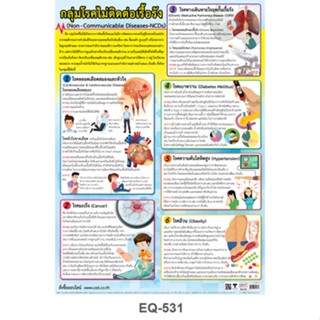 โปสเตอร์กระดาษ กลุ่มโรคไม่ติดต่อเรื้อรัง #EQ-531 สื่อการเรียนรู้ สื่อการเรียนการสอน