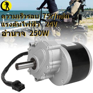 Sports Love มอเตอร์แปรงล้อไฟฟ้า 75R/Min 24V250W My1016Z อุปกรณ์เสริมสำหรับ Unite