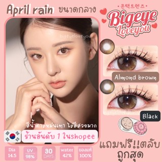 คอนแทคเลนส์🌈April Rain🌈 Almond Brown / Black (Luxzylens) ขนาดกลาง💖