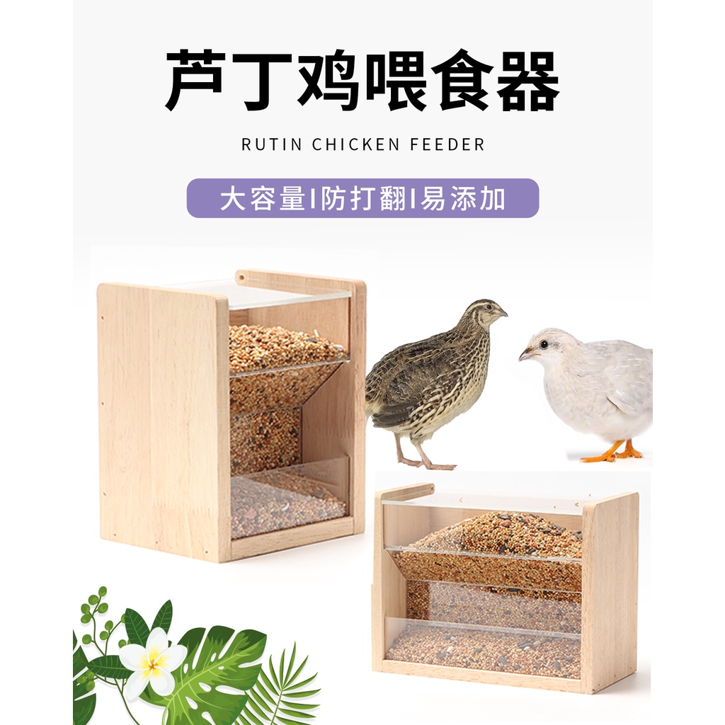 กล่องให้อาหารสัตว์เลี้ยงอัตโนมัติ กันกระเด็น สําหรับไก่ นกแก้ว นกพิราบ