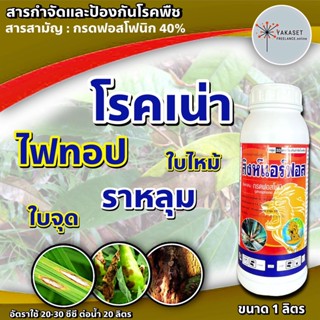 สิงห์แอร์ฟอส 1 ลิตร 🛑 โฟลิอาร์ฟอส 400 ฝังเข็ม ทุเรียน กรดฟอสโฟนิก ฟอสฟอนิก กำจัดเชื้อรา รากเน่า โคนเน่า ยอดเน่า