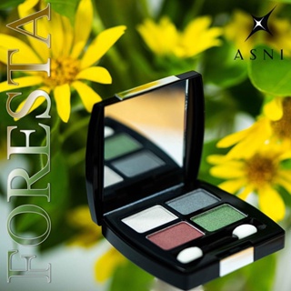 แอสนี่ อายแชโดว์ - ฟอเรสต้า 6 ก. ASNI Eye Shadow - Foresta 6 g.