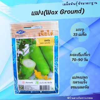 เมล็ดพันธุ์ แฟง*เจียไต๋ บรรจุ 33 เมล็ด