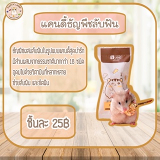 [Exotic land] แคนดี้ธัญพืช ลูกอมแคนดี้ลับฟัน สำหรับสัตว์ฟันแทะ