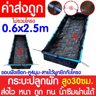 *ส่งไว* กระบะปลูกผัก (0.3x0.6x2.5m) กะบะปลูกผัก กระบะเพาะปลูก กะบะเพาะปลูก แปลงผักเพาะปลูก แปลงปลูกผัก ถุงกะบะปลูก ถุงกร