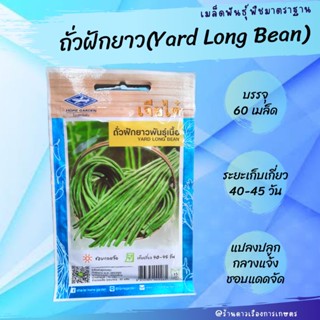เมล็ดพันธุ์ถั่วฝักยาว *เจียไต๋ บรรจุ 60 เมล็ด