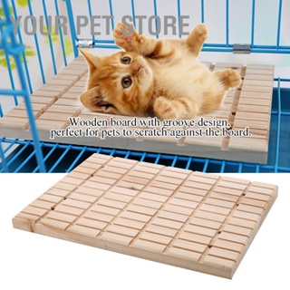 Your Pet Store กรงเล็บไม้ สําหรับสัตว์เลี้ยง หนูแฮมสเตอร์ กระรอก กระต่าย