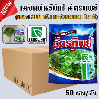 เมล็ดผักชีฉัตรทิพย์ (SHAT THIP) ขนาด 300 กรัม (50 ซอง/ลัง) ผักชีฉัตรทิพย์ (อิตาลี) เมล็ดผักชี เมล็ดผักชี เมล็ดพันธุ์ผัก