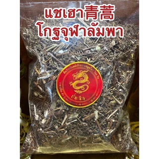 แชเฮา青蒿 โกฐจุฬาลัมพา ชิงเฮา แชเฮา สมุนไพรโกฏจุฬารำพา โกฐจุฬารำพา