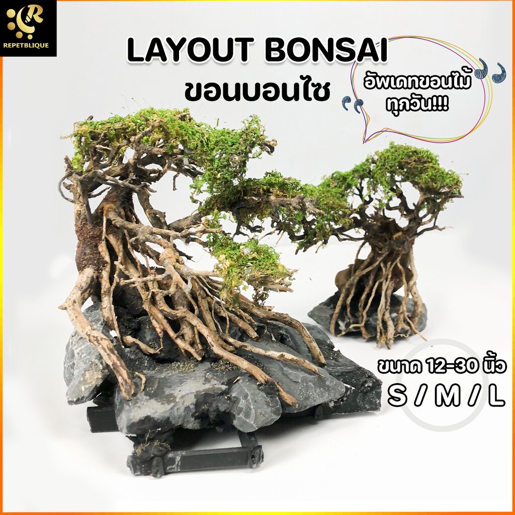 !!!ส่งรถบขส.และนัดรับหน้าร้าน!!!Layout ขอนบอนไซ Size S M L สำหรับตั้งตู้ไม้น้ำ ตกแต่งตู้ ขอนไม้ Bons
