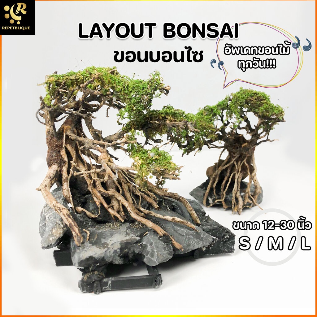 Layout ขอนบอนไซ Size S M L สำหรับตั้งตู้ไม้น้ำ ตกแต่งตู้ ขอนไม้ Bonsai ตู้ปลา พรรณไม้น้ำ