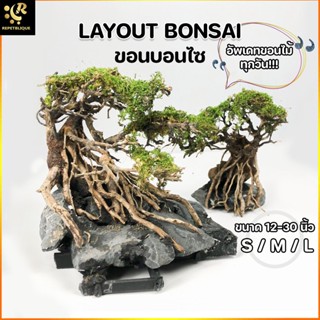 Layout ขอนบอนไซ Size S M L สำหรับตั้งตู้ไม้น้ำ ตกแต่งตู้ ขอนไม้ Bonsai ตู้ไม้น้ำ ตู้ปลา พรรณไม้น้ำ บอนไซ