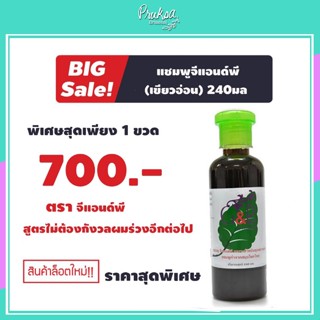 แชมพูจีแอนด์พี (เขียวอ่อน) 240มล 1 ขวด