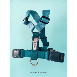 สายรัดอกสุนัข Human and Hound รุ่น h-harness ไซส์ XS-L :  สี ChocMint สายรัดอกสุนัข ทรง H-harness