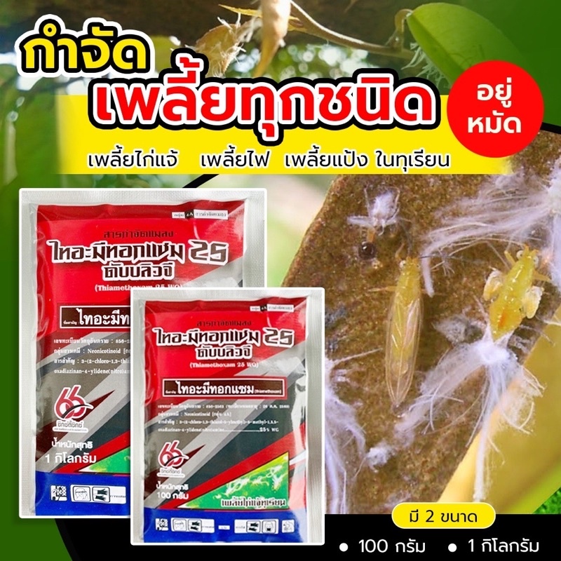 ยากำลังเพลี้ย เพลี้ยจักจั่นฝอย เพลี้ยไก่แจ้ เพลี้ยไฟ ขนาด 1 กิโลกรัม