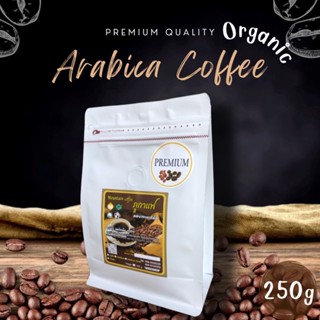 กาแฟอราบิก้า เมล็ดกาแฟเกรดพรีเมียมAA กาแฟคั่วใหม่ คัดพิเศษ ดอยเทพเสด็จ 500 กรัม(250g*2ถุง)