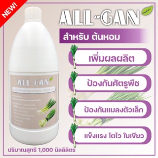 ปุ๋ยน้ำต้นหอมALL GAN1000mlช่วยไม่ให้ใบเหลืองป้องกันศัตรูพืชและแมลงตัวเล็กๆสูตรเข้มข้นพิเศษใช้ได้นานจากธรรมชาติ100%