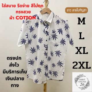 เสื้อเชิ้ตลายใบ สีขาว คอปก มีกระเป๋าหน้า  ผ้า COTTON ใส่สบาย ไม่บาง รีดง่าย ทรงตรง ไซค์ M-2XL ตรงปก พร้อมส่ง