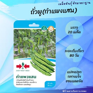 เมล็ดพันธุ์ ถั่วพู (กำแพงแสน) *ศรแดง บรรจุ 25 เมล็ด