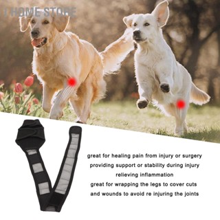 Dog Knee Brace Breathable Adjustable Wound Protection Elbow Protector Sleeves for Pets