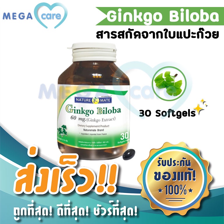 Springmate Ginkgo Biloba 60 mg สปริงเมท สารสกัดจากใบแปะก๊วย 30 Softgels