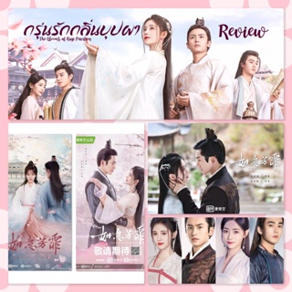 The Blooms at Ruyi Pavilion กรุ่นรักกลิ่นบุปผา ซีรี่ส์จีน DVD(พากย์ไทย+ซับไทย) (เพิ่มตอนพิเศษ)