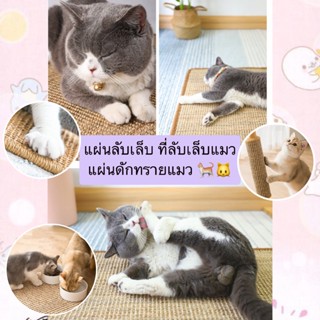 PP-433 แผ่นลับเล็บ ที่ลับเล็บแมว แผ่นดักทรายแมว ที่นอนแมว ราคาถูก พร้อมส่ง🐱🐱