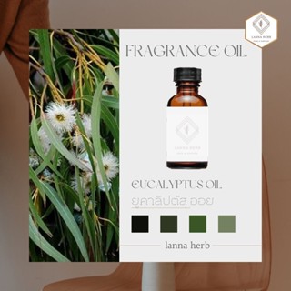 หัวน้ำหอม กลิ่นยูคาลิปตัสออย (Eucalyptus)