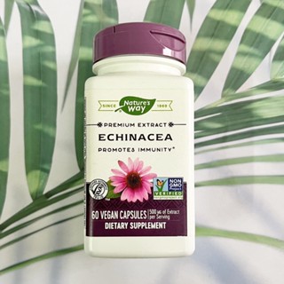 สมุนไพรเอ็กไคนาเซียสกัด Echinacea, Standardized 60 Veg Capsules (Natures Way®)