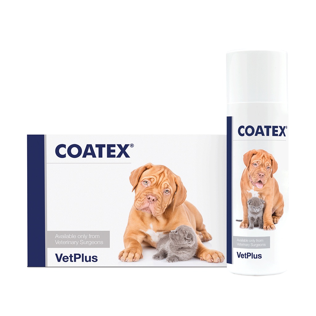 [VetPlus] COATEX for Dogs & Cats(60 Capsules or 65ml) / อาหารเสริมเพื่อสุขภาพผิวหนังและขน