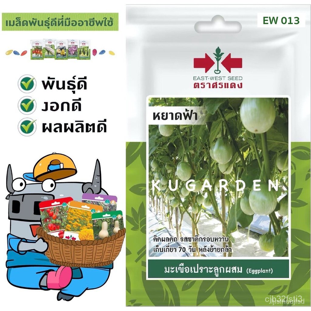 ผลิตภัณฑ์ใหม่ เมล็ดพันธุ์ จุดประเทศไทย ❤SORNDAENG  ผักซอง ศรแดง มะเขือเปราะ หยาดฟ้า #EW013 เมล็ดอวบอ