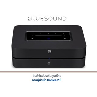 BLUESOUND POWERNODE (NEW)