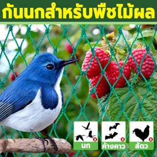 🐦ตาข่ายกันนก กรงนก ตาข่ายล้อมไก่ ตาข่ายรั้ว ตาข่ายอเนกประสงค์ ยาว10/15/20เมตร สำหรับพืชไม้ผล กันนกพิราบ ทนแดดทนฝน10ปี