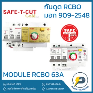 SAFE-T-CUT MODULE 2P 63A RMD3 และ RMD9