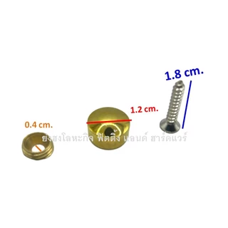 หมุดปิดหัวน๊อต หมุดยึดกระจก หมุดยึดอะคริลิค สีทองเงา ขนาด 1/2 นิ้ว (12.7 mm.) แพ็ค 4 ชุด 200-1/2-G