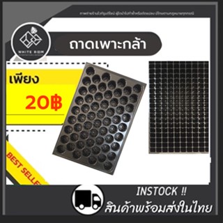 ถาดเพาะกล้า ถาดเพาะชำ ถาดเพาะเมล็ด หนา 0.6mm ขนาด 60-200 หลุม ถาดหลุม